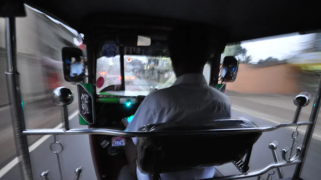The view from the back seat of an auto-rickshaw, looking past the driver at the road